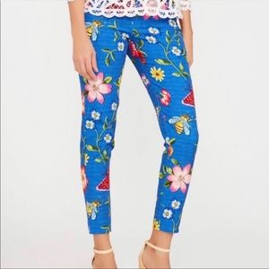 J Mclaughlin Women’s Margot Floral Pants size 6